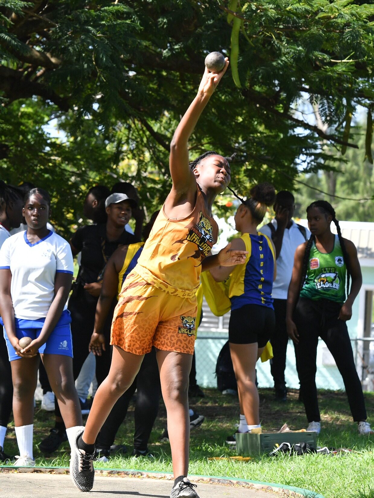 Tempo Sports athletics meet highlight